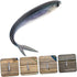 3D Swimming Levemolo Soft Fishing Lures Pair Reusable Sinking Soft Plastic Bionic Bait for Sea and Freshwater Fishing