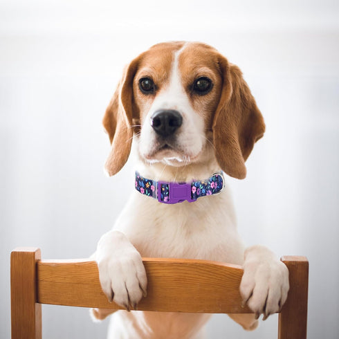 Dog Collar with Purple Flowers Patterns - Cute Adjustable Soft Durable Pet Collar for XS Small Medium Large Dogs
