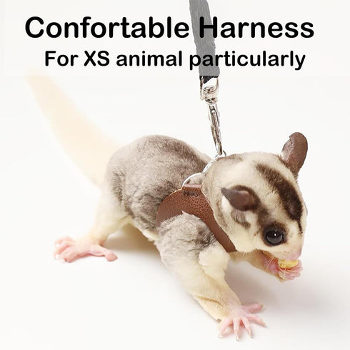 3PC Set Sugar Glider Harness Leash for Small Animal Soft Leather Training Ourdoor Walking Vest for Squirrel Hamster Rat
