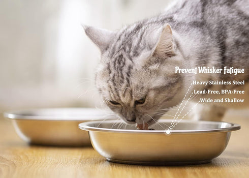 Stainless Steel Cat Bowls - Whisker Fatigue Relief Cat Food Dish, Metal Shallow Wide Plate for Pets