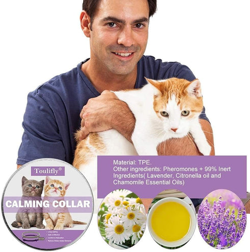 Nature's Miracle Urine Destroyer for Dogs, Light Fresh Scent, Tough on Strong Dog Urine