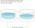 Niteangel Hamster Feeding & Water Bowls, Mount Fuji Series Glass Drinking Bowls for Dwarf Syrian Hamsters, Gerbils,