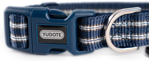 Reflective Nylon Dog Collar - Adjustable Blue Neoprene Padding for Small Dogs (Neck 9.8"-15")