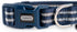 Reflective Nylon Dog Collar - Adjustable Blue Neoprene Padding for Small Dogs (Neck 9.8"-15")