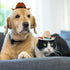 Hemobllo Dog Hat, Adjustable Straw Western Costume Hat for Dogs and Cats, Funny Pet Party Headwear (2PCS)