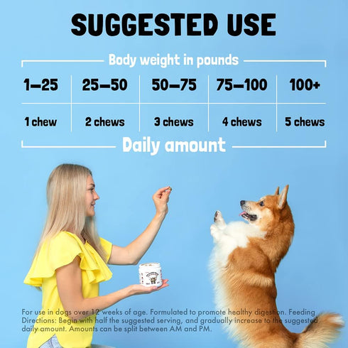 Dog Vitamins - 120 Chews with Glucosamine Chondroitin, Probiotics Digestive Enzymes, Supplement for Joint and Immune