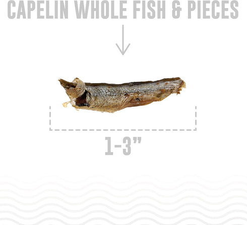 Icelandic+ Plus Capelin Whole Fish & Pieces Dog Treat, 2.5-oz Bag