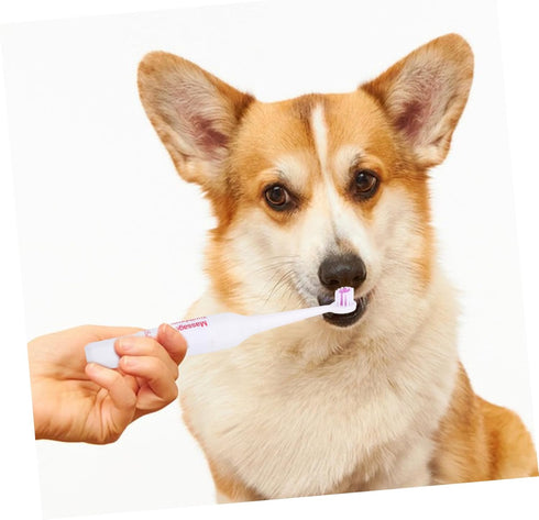 2pcs FOMIYES Pet Electric Toothbrush Acoustic Electric Brush Gentle Gums Travel Friendly Random Color