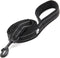 Truelove Reflective Dog Leash, Puppy Walking Lead, Padded Pet Chain Rope, Length 110cm, TLL2111 (Black, S)