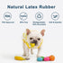 Squeaky Dog Toys, Soft Latex Rubber Ball for Small Dogs, Cute Bounce Squeak Toys with Funny Face
