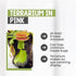 Store 4.5" Venus Fly Trap Live Plant with Pink Terrarium + Carnivorous Plants Food Bundle with Feeding Tweezers