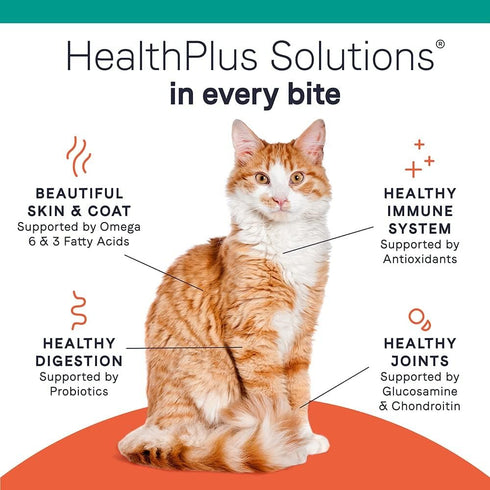 5 (Pack 2), CANIDAE Pure Limited Ingredients Premium Dry Cat Food Bundle, Chicken and Healthy Weight Tuna Recipes