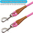 6 Foot Heavy Duty Dog Tie Out Rope Leash, Climbing Nylon Basic Leash for Indoor and Outdoor