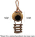 SunGrow Hermit Crab Coco Hut with Ladder, Coconut Hide for Reptiles, Crab Cage Climbing Toys, 5"