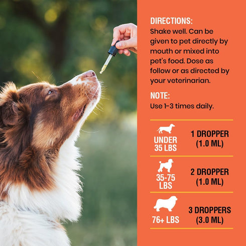 Immune Immune 2oz Vitamin C for Dogs, Helps Support System, Vitamin C Liquid Supplement, Dog Booster, Bacon Flavored