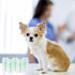6pcs Fecal Diagnostic Kit for Pet Stool Sample Collection, Fecalyzer for Cat and Dog Tests