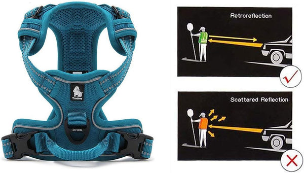 Best Reflective No Pull Dog Harness, Soft Front with Handle and 2 Leash Attachments, Teal Blue