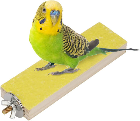 Parrot Wooden Perch Platform Playground for Macaw, African Greys, Budgies, Cockatiels, Random Color Cage Accessories