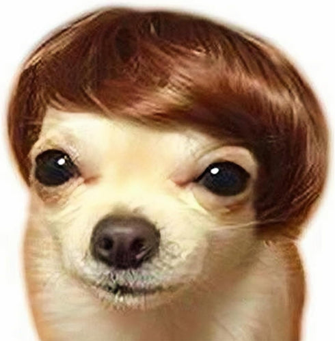 Dog Wig Pet Costumes - Cat Costume Synthetic Accessories for Small Dogs, Halloween & Christmas Party Decor