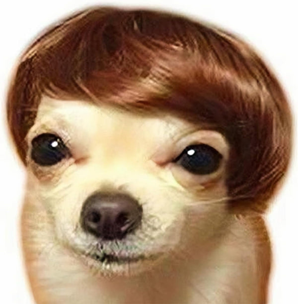 Dog Wig Pet Costumes - Cat Costume Synthetic Accessories for Small Dogs, Halloween & Christmas Party Decor