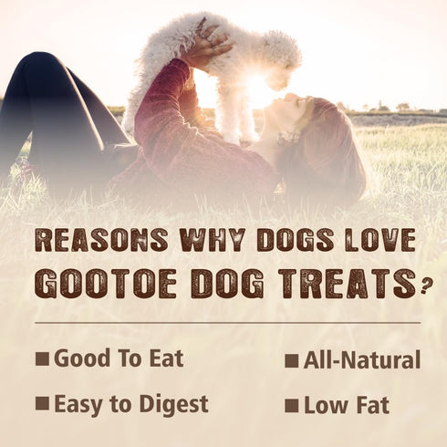 1 lb Gootoe Dog Treats, Chicken Jerky for Dogs - Dog Training Treats; High-Protein, Gluten-Free, Hypoallergenic