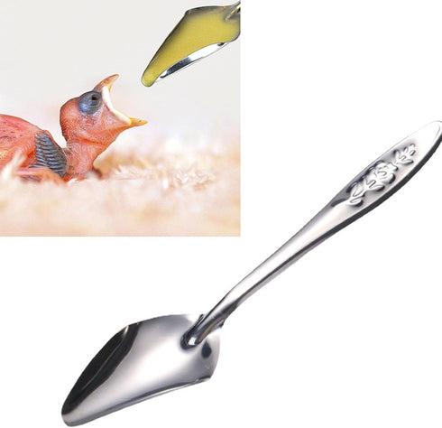Youngy 8Pcs Bird Parrot Feeder Spoon Stainless Steel Milk Medicine Avoid Asphyxia for All Baby Bird Feeding Spoon
