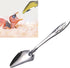 Youngy 8Pcs Bird Parrot Feeder Spoon Stainless Steel Milk Medicine Avoid Asphyxia for All Baby Bird Feeding Spoon