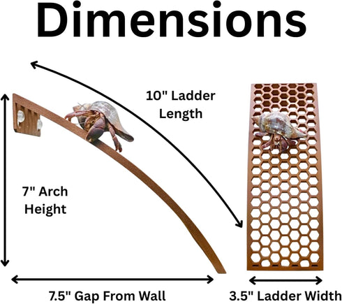 (2-Pack) Hermit Crab Climbing Ladders | Hermit Crab Tank Enrichment Decor | Decoration Accessories Supplies Toys