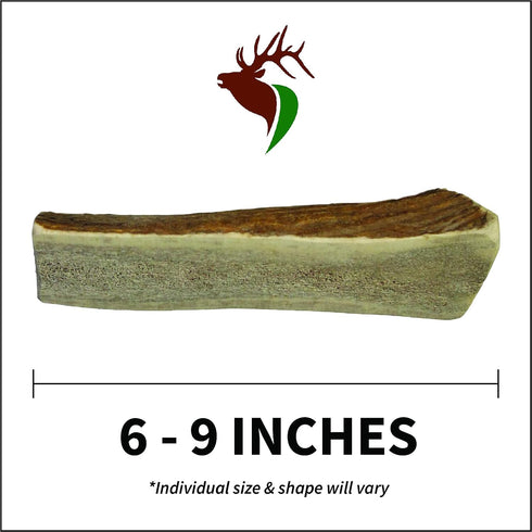 Large Split Single Pack Premium Grade Elk Antler for Dogs - 30-50 lb Dogs, 1 Piece Sourced in The USA