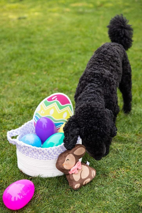Pearhead Plush Easter Chocolate Bunny Dog Toy, Interactive Soft Squeaker Pet Toy for Dog Owners