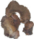 20-Piece Aquarium Botanical Sampler Box with Indian Almond Leaves, Cholla Wood, Birch Cones, Pods & Coco Petals