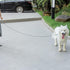 Chew Proof Dog Leash, 6FT Metal Cable Lead, Heavy Duty Made of Coated Wire Rope for Large Dogs and Teething Puppies -