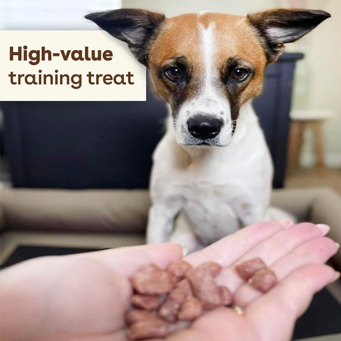 Pupford Freeze Dried Training Treats for Dogs & Puppies, 225+ Bites (Salmon, 2 oz)