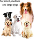 Voice Intercom Dog Training Collar, Rechargeable Shock Collar with Remote for Small, Medium & Large Dogs