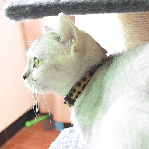 Breakaway Cat Collars with Bell, Set of 3, Durable & Safe Cute Kitten Collars, Adjustable Kitty Collar for Cat Puppy