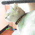 Breakaway Cat Collars with Bell, Set of 3, Durable & Safe Cute Kitten Collars, Adjustable Kitty Collar for Cat Puppy