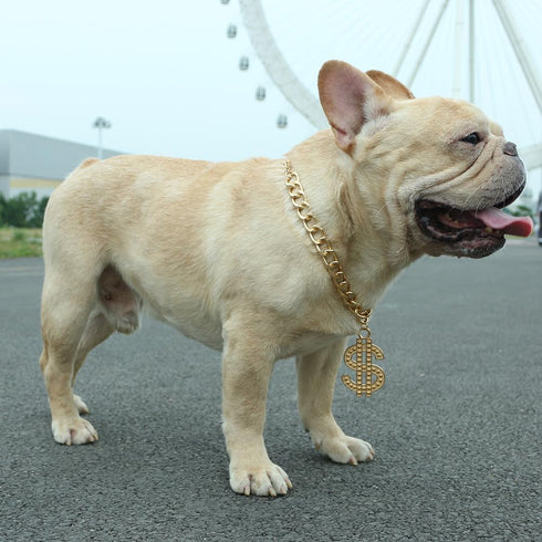 Cute Adjustable Pet Gold Chain with Dollar Pendant, Lightweight Cuban Link Necklace for Dogs and Cats, Bling Jewelry