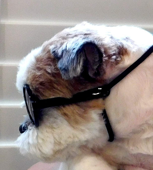 G016 Small Breed Dog Sunglasses for Pets up to 15lbs, Round Tiny Design, Black