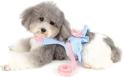 SELMAI Cat Harness and Leash for Walking, Escape Proof Dot Vest Harness for Small Dogs and Kittens