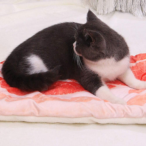 TOPINCN Pet Dog Blanket, Simulation Bacon Warm Keeping Sleep Mat for Small Medium Large Pets (L)