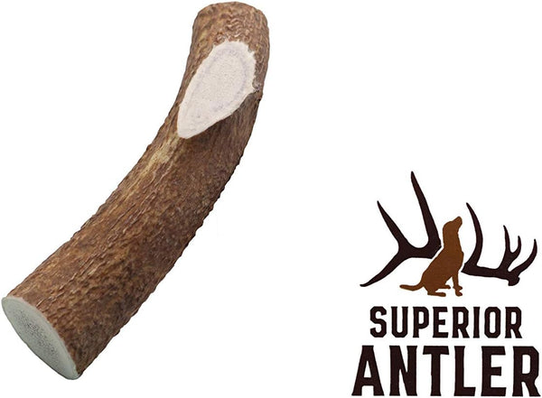 1-X Large Antler, Whole, All Natural Premium Grade A Antler Chew, Made in The USA