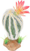 HEEPDD Artificial Cactus Plant, Aquarium Landscaping Decoration for Fish Tank and Reptile Terrarium