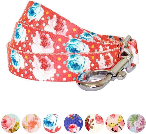 Blueberry Pet 9 Patterns Durable Dog Leash, 4 ft x 1", Large, Spring Scent Inspired Rose and Polka Dot Print