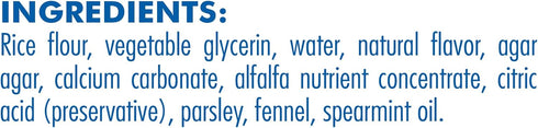 N-Bone FLOSSta Dual Action Dental Chews Mint Flavor, 12-oz Bag