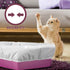 Alfapet Kitty Cat Litter Box Disposable, Elastic Liners, 30 Count for Large Litter Pans