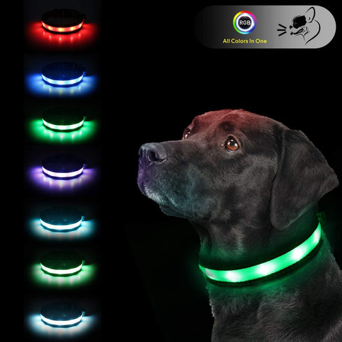 Light Up Dog Collars - Safety LED Dog Collars USB Rechargeable - 7 Changing Colors Glow in The Dark - Adjustable for