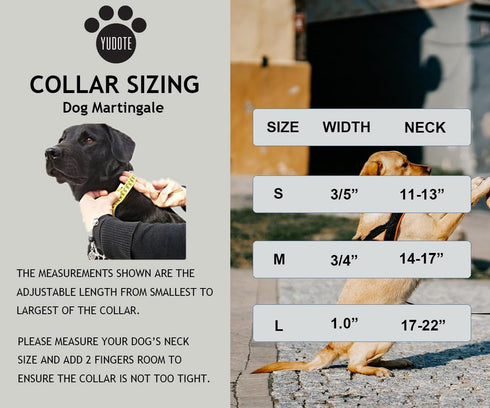 Martingale Dog Collar, Adjustable Floral No Pull Safe Training Collars with Steel Chain & Quick Release Buckle,