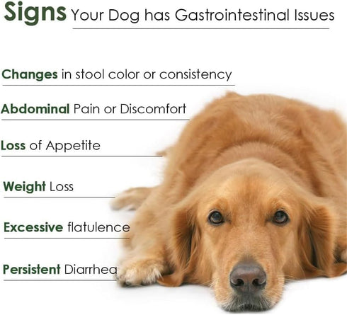 Probiotics for Dogs - Complete Gut Health & Immune Support, 30 Packets for Easy Digestive Multi-Strain Use