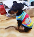 ANIAC Pet Costume Cute Rabbit Clothes Soft Bunny Vest Cozy T-shirt for kitten Ferret Chihuahua puppy and Small Animals (2XS, Rainbow)