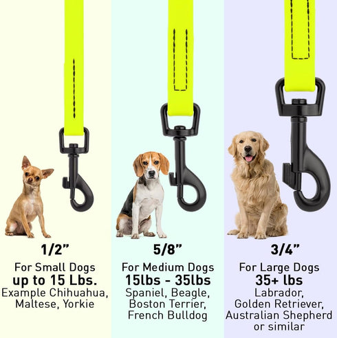 Dogline Biothane Waterproof Dog Leash, Strong Coated Nylon Webbing, 4 or 6 ft Lead for Small or Large Dogs